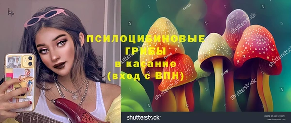 прущая мука Переславль-Залесский