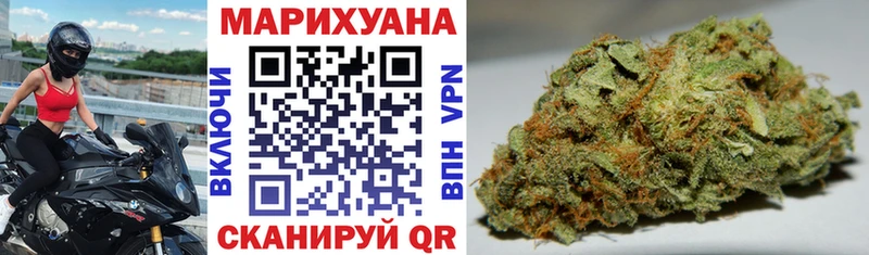 Каннабис планчик  Катайск 